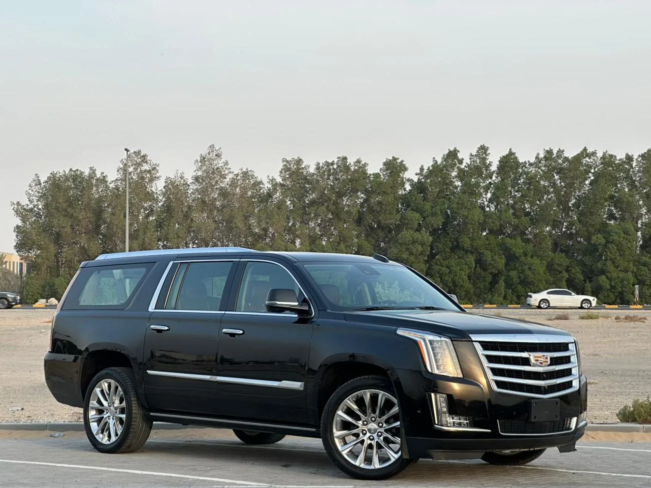 Image of Vehicle